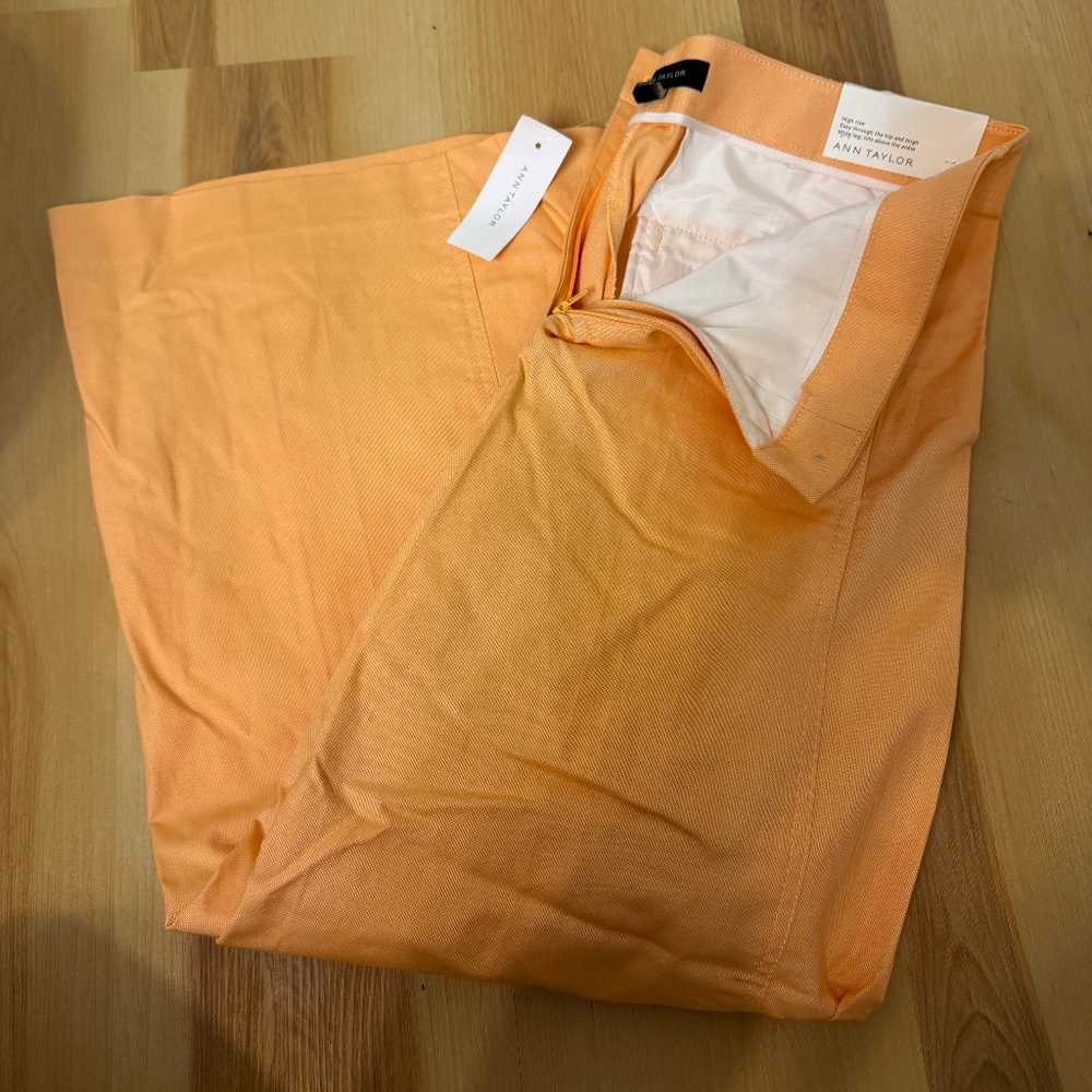 Ann Taylor apant NWT